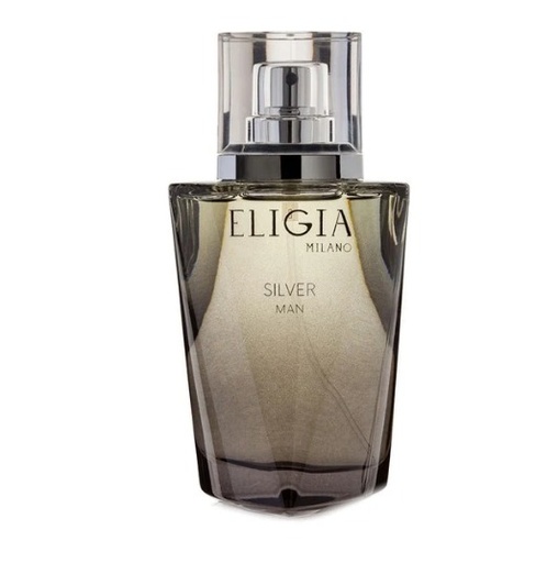 Eligia Silver Parfum Homme 100ml